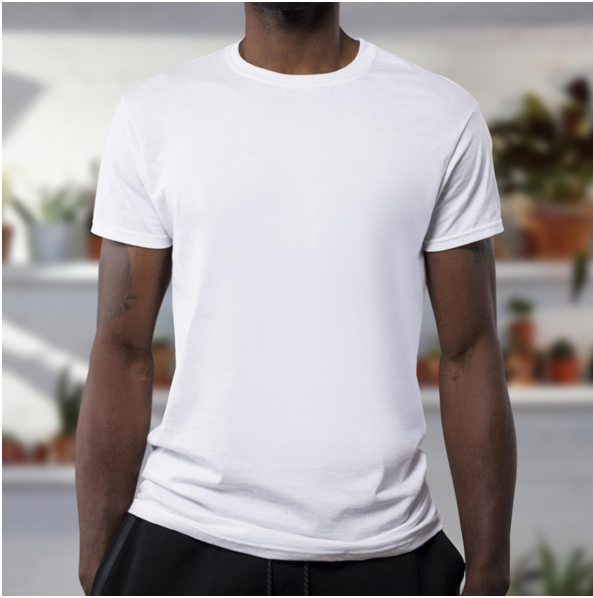 Image displaying various blank t-shirts suitable for printing at Clothing Authority.
